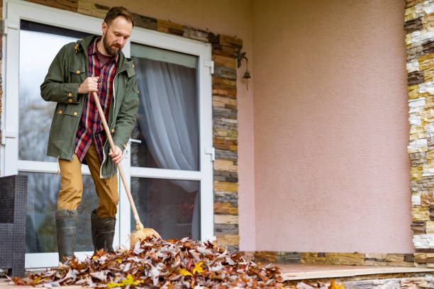 Best Dumpster Rental Services  in El Dorado Hills, CA